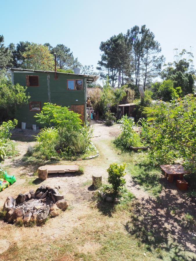 Eco Choclo Bed & Breakfast Ла Палома Екстериор снимка