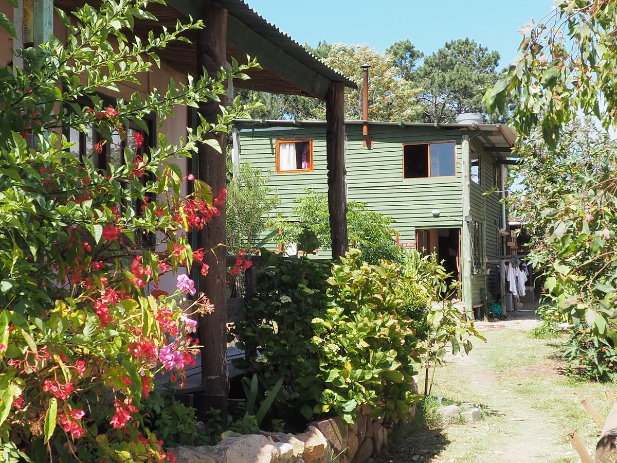 Eco Choclo Bed & Breakfast Ла Палома Екстериор снимка