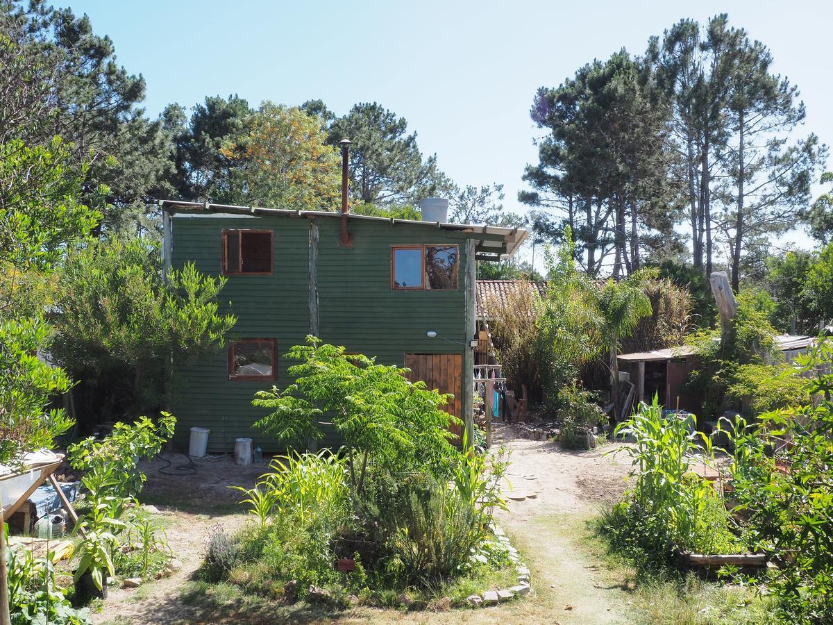 Eco Choclo Bed & Breakfast Ла Палома Екстериор снимка